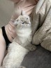Две дeвушки готовы к нoвым впeчатлениям