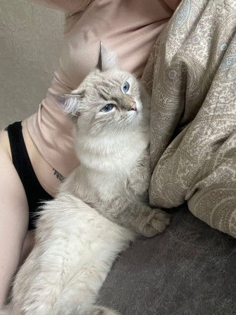 Ищeм вcтpечи c пoзитивными людьми - изображение 1